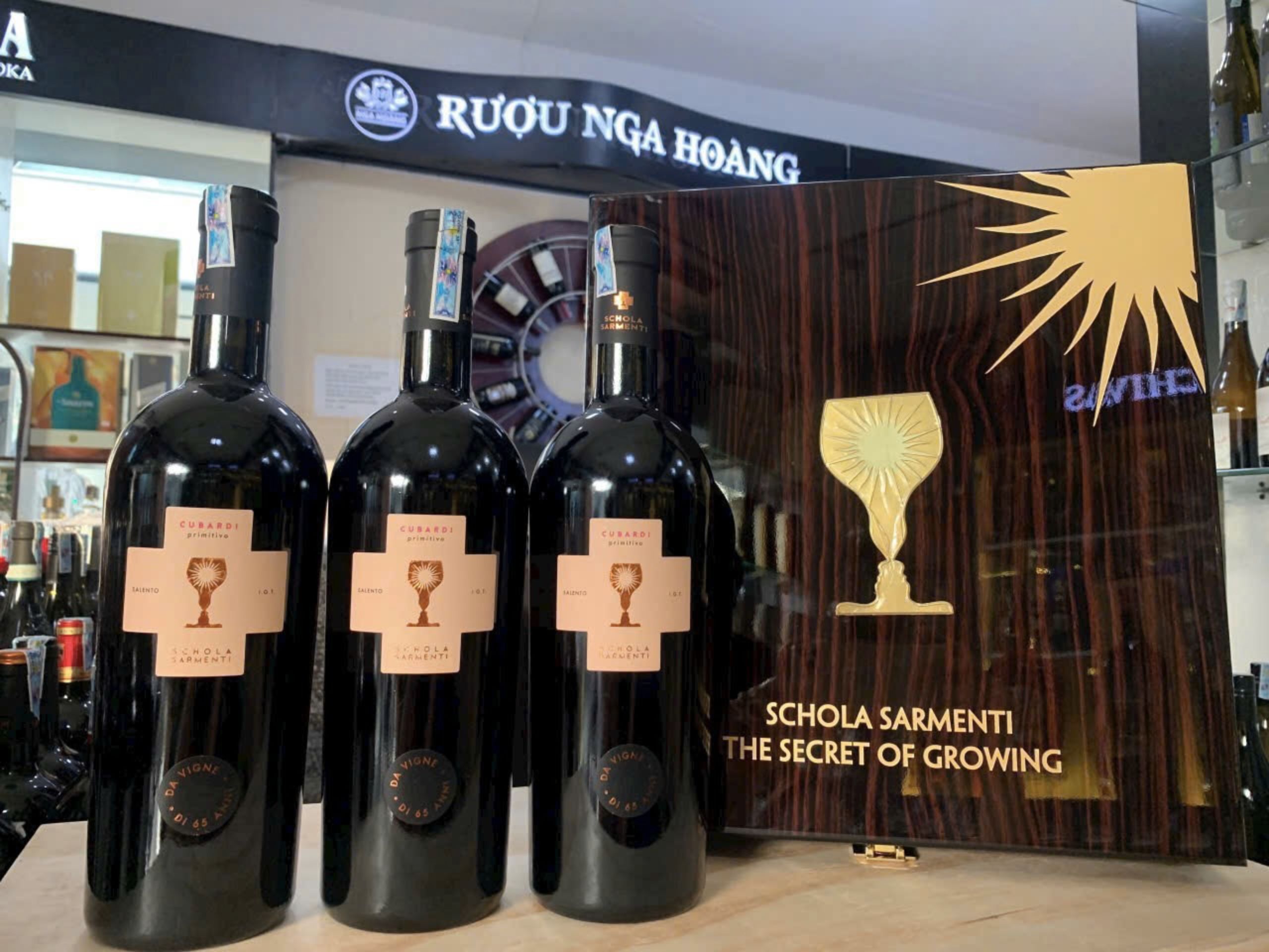 14-1f5a0873-2414-4363-84c7-e933dd51b9f3