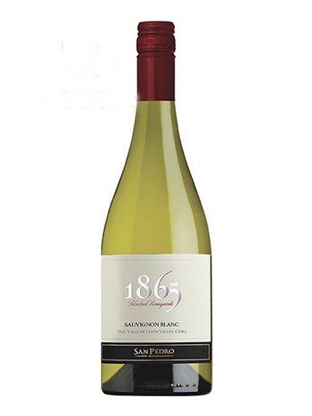 RƯỢU VANG CHILE 1865 SELECTED VINEYARD SAUVIGNON BLANC