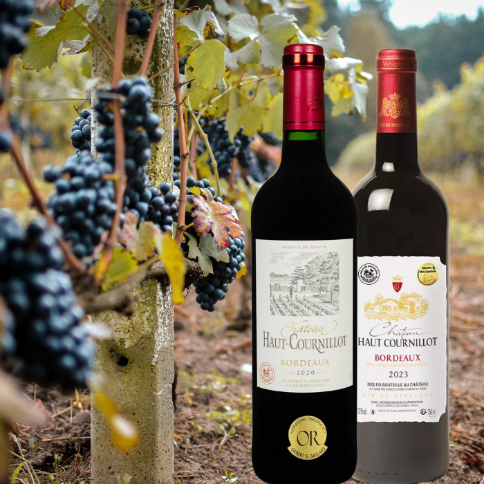 Rượu vang Pháp Château Haut Cournillot AOC ngon giá rẻ