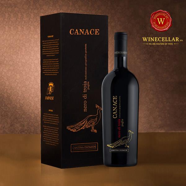 Vang Canace Nero di Troia