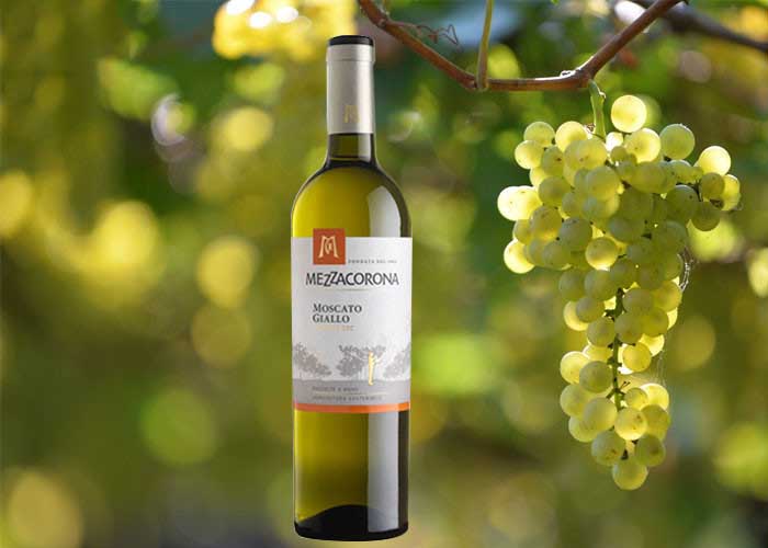 Vang Mezzacorona Moscato Giallo