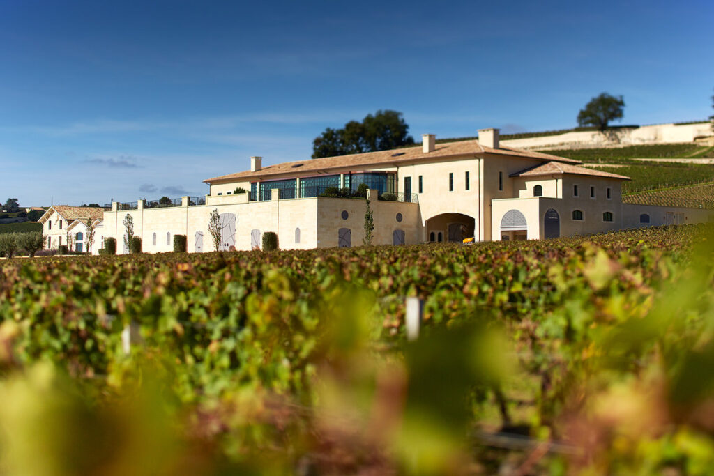 Vang château pavie macquin