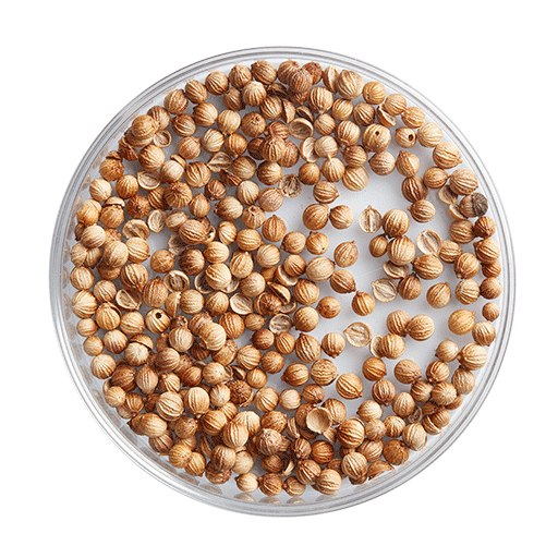 Hạt rau mùi từ Nam Úc