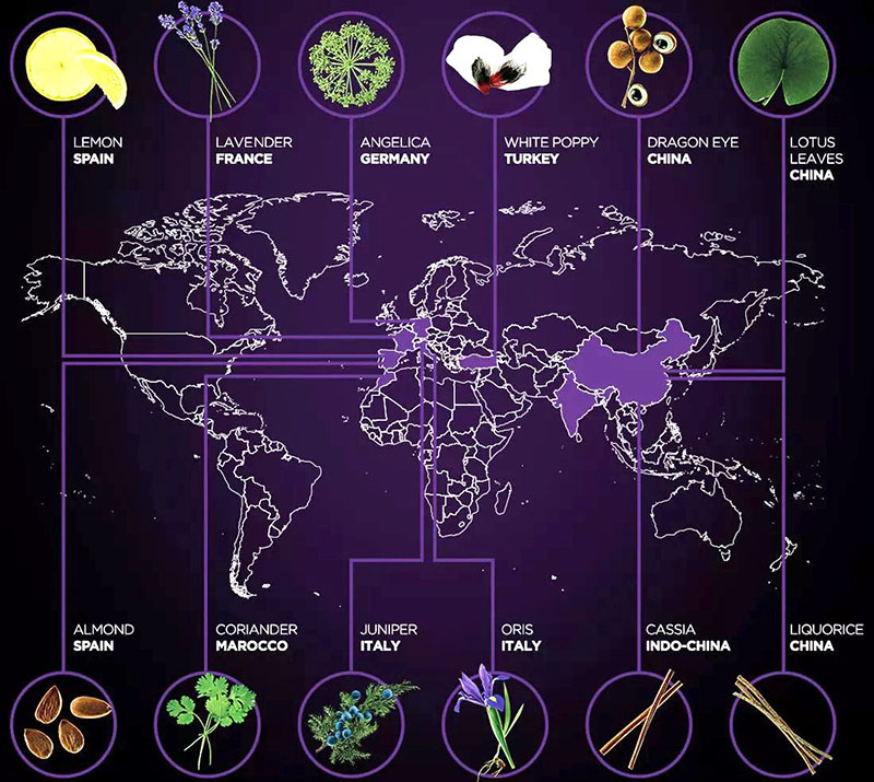Nguyên liệu để sản xuất rượu Gin Bulldog được mang về từ khắp nơi trên thế giới