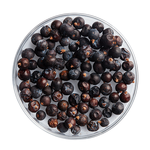 Trái Bách Xù từ Macedonia