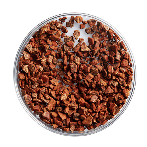 Quế Cassia từ Sri Lanka