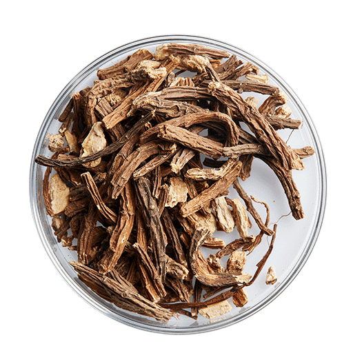 Rễ cây Bạch Chỉ