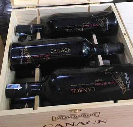 Vang Canace Nero di Troia