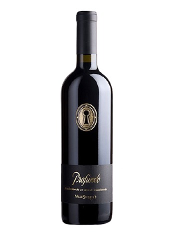 Vang đỏ cao cấp Profundo Valle Secrecto (Vang chìa khóa)