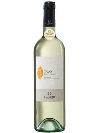RƯỢU VANG Ý ILAURI TAVO PINOT GRIGIO