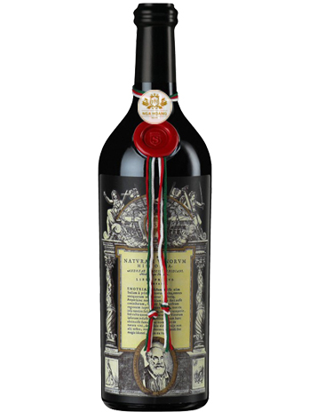 RƯỢU VANG Ý SALVANO LANGHE ROSSO TRABUCH