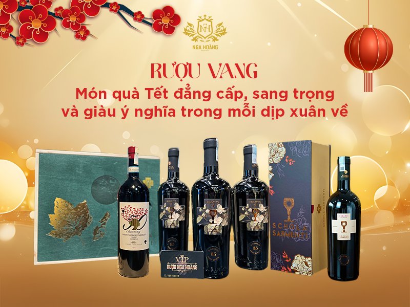 Vì sao rượu vang biếu Tết luôn là món quà đẳng cấp? Ý nghĩa & cách chọn chuẩn