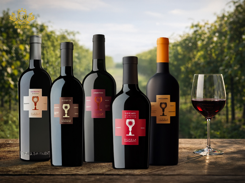 Các dòng rượu Chén Thánh phổ biến tại Việt Nam