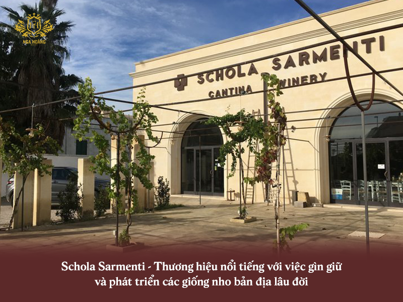 hãng Schola Sarmenti