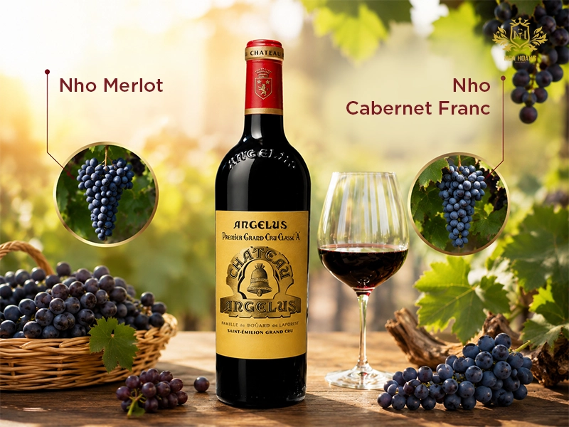 Rượu vang Pháp Château Angelus